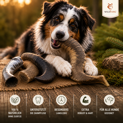 Kauhorn vom Schaf-Hundebedarf-Wildfang Petcare GmbH-