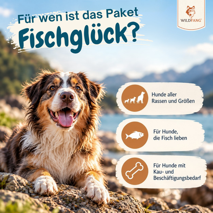 Paket "Fischglück"-Hundebedarf-Wildfang Petcare GmbH-