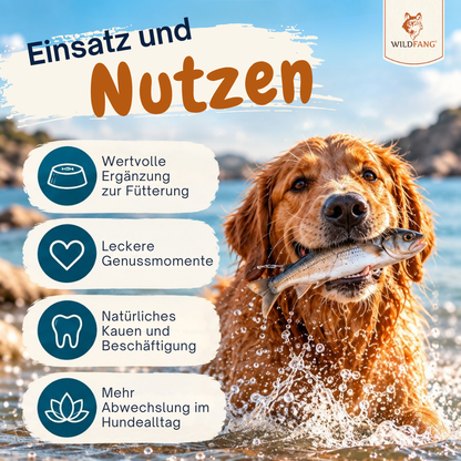 Paket "Fischglück"-Hundebedarf-Wildfang Petcare GmbH-