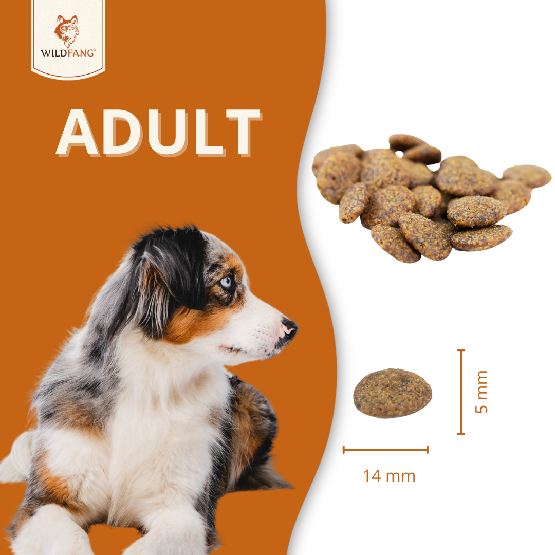 Adult Trockenfutter mit Pferd - getreidefrei - 2 x 2 kg-Hundefutter-Wildfang Petcare GmbH-
