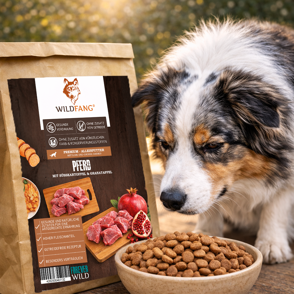 Adult Trockenfutter mit Pferd - getreidefrei - 2 x 2 kg-Hundefutter-Wildfang Petcare GmbH-
