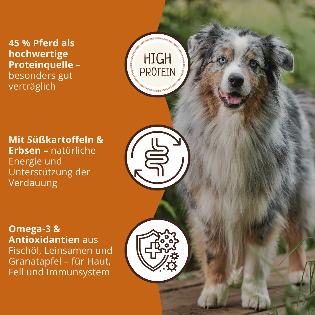 Adult Trockenfutter mit Pferd - getreidefrei - 2 x 2 kg-Hundefutter-Wildfang Petcare GmbH-