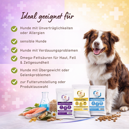 Genussbox VetLine Adult - Trockenfutter-Hundefutter-Wildfang Petcare GmbH-