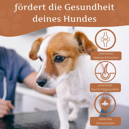 Lachsöl – 100 % natürliches BARF-Öl für Hunde-Hundebedarf-Wildfang Petcare GmbH-