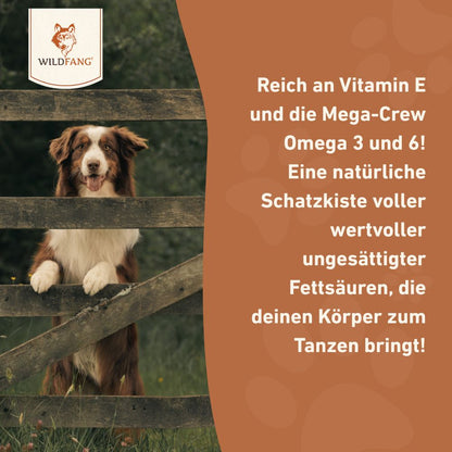 Lachsöl – 100 % natürliches BARF-Öl für Hunde-Hundebedarf-Wildfang Petcare GmbH-