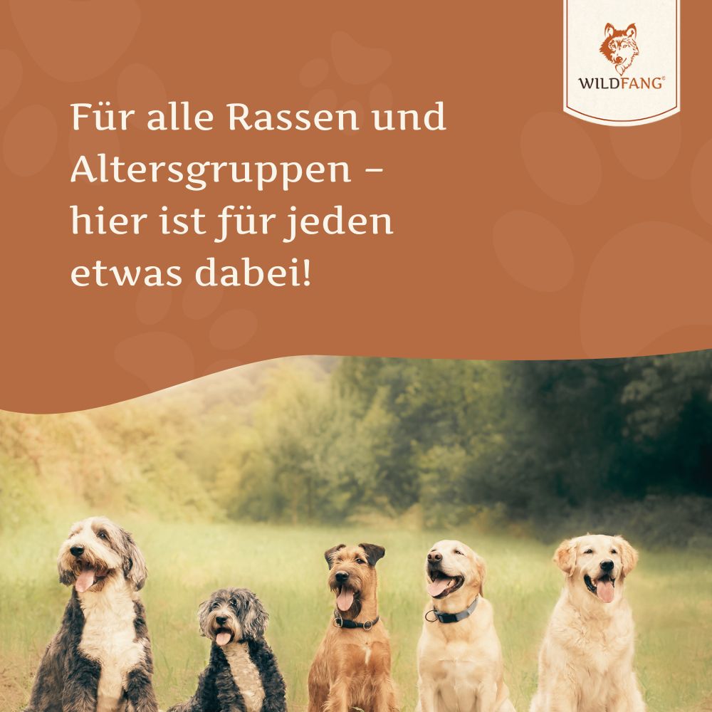 Lachsöl – 100 % natürliches BARF-Öl für Hunde-Hundebedarf-Wildfang Petcare GmbH-