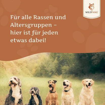 Lachsöl – 100 % natürliches BARF-Öl für Hunde-Hundebedarf-Wildfang Petcare GmbH-