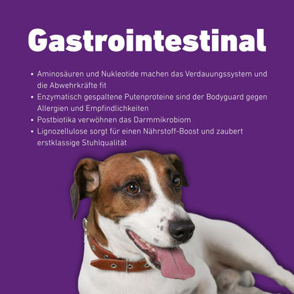 VetLine Trockenfutter mit Peptiden für Hunde - Gastrointestinal - 2 x 1,5 kg-Hundefutter-Wildfang Petcare GmbH-