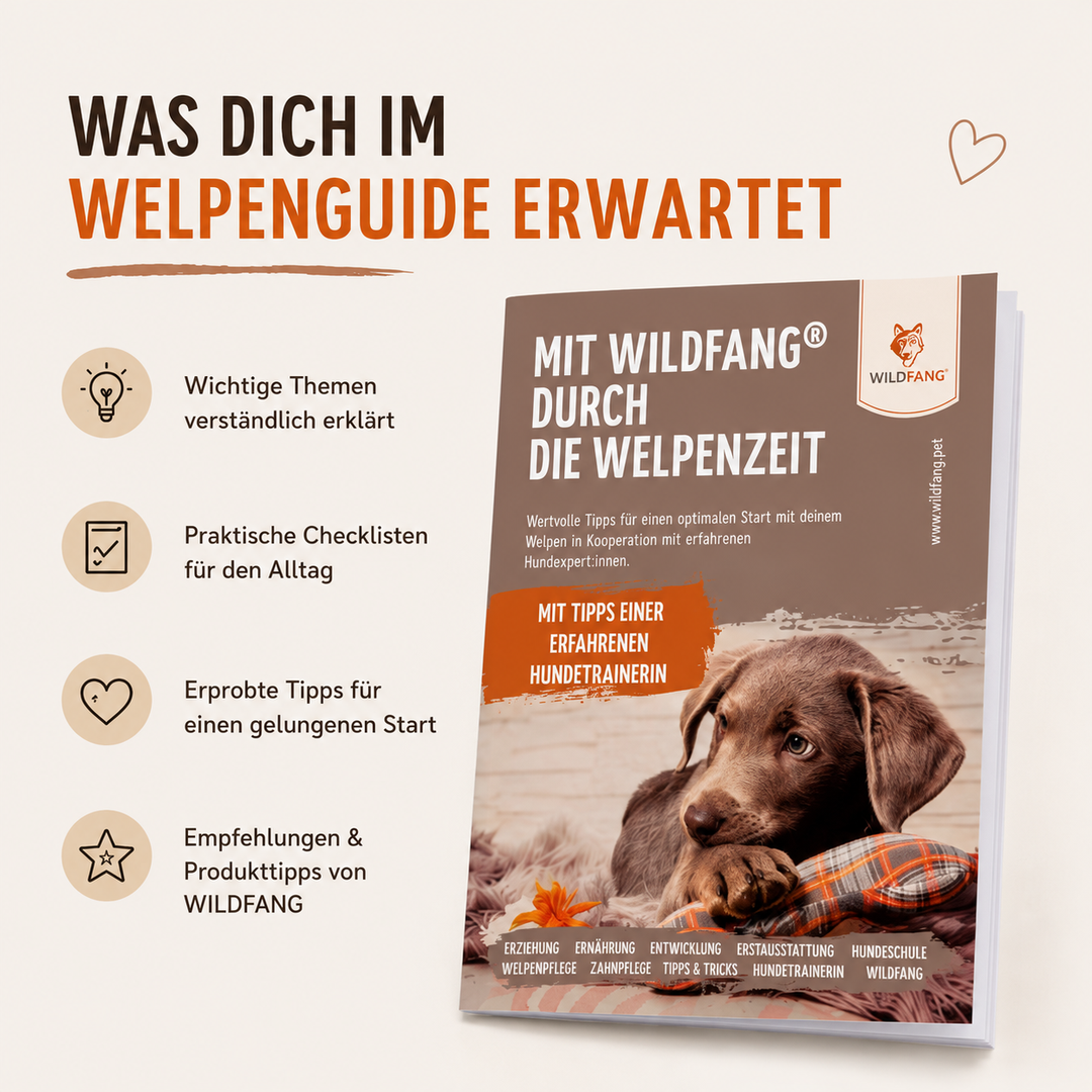 Welpenguide – Kostenloser Ratgeber für die ersten Monate-Verpackungsmaterial-Wildfang-