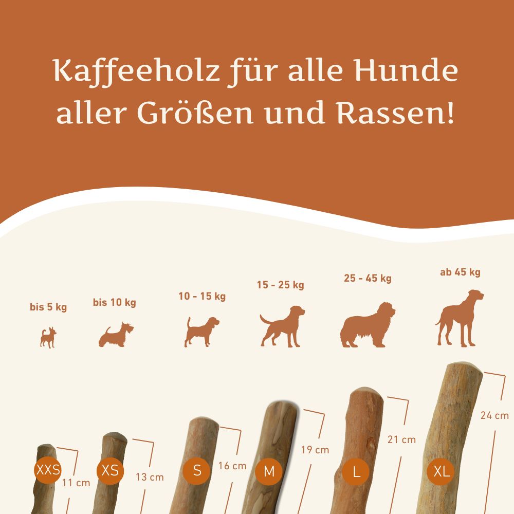 Kaffeeholz Kaustab - 3er Set-Hundespielzeug-Wildfang-