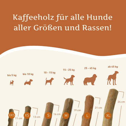 Kaffeeholz Kaustab - 3er Set-Hundespielzeug-Wildfang-