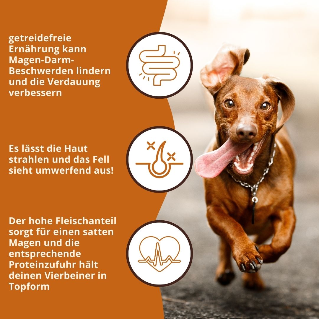 Adult Trockenfutter mit Huhn & Kräuter - getreidefrei-Hundefutter-Wildfang.pet-