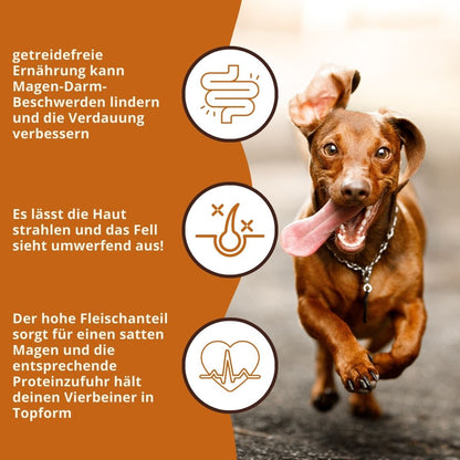 Adult Trockenfutter mit Huhn & Kräuter - getreidefrei-Hundefutter-Wildfang.pet-