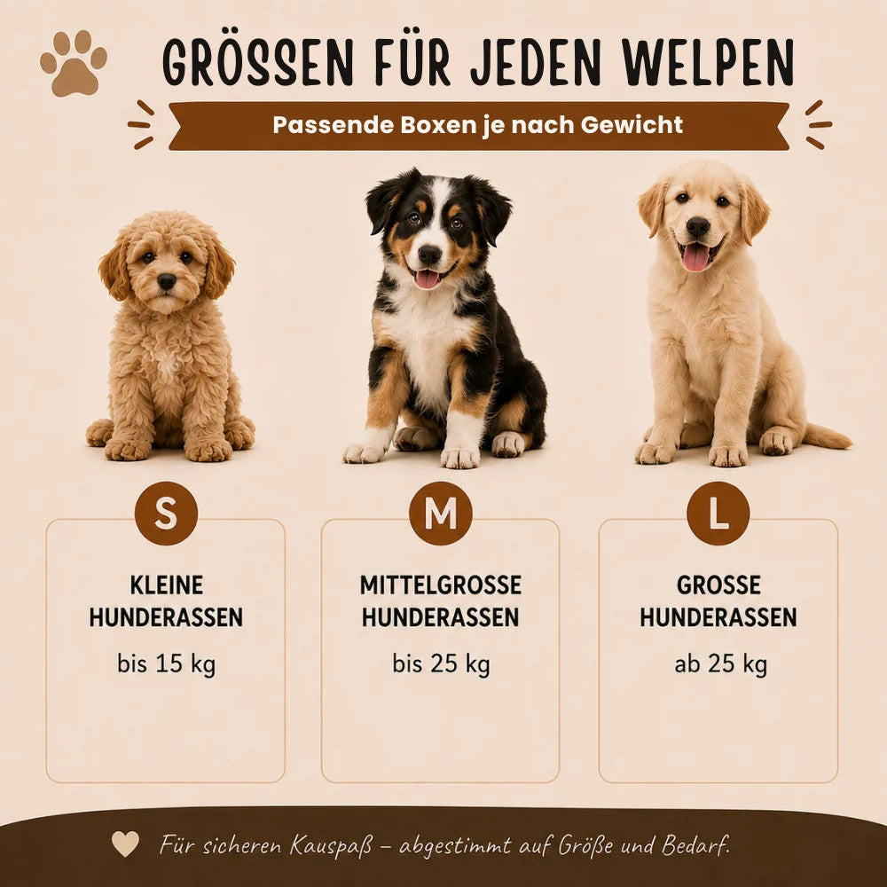 Wildfang® Welpen Paket XXL "Willkommen Liebling" für Welpen-Wildfang.pet-